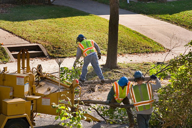 Lawn Watering Services in King City, OR